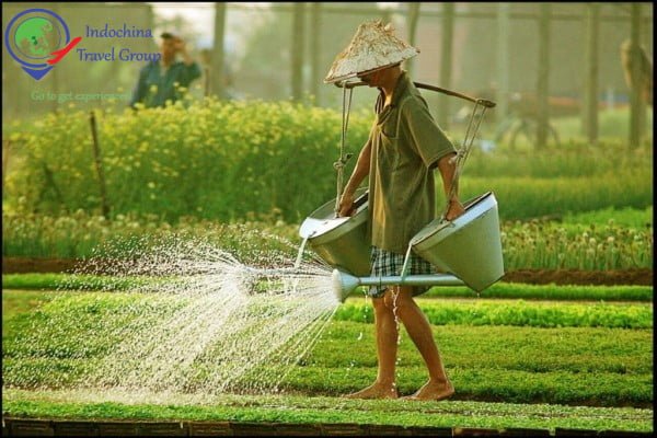 DAY 4: FARMING AT CAM THANH VILLAGE (B/L)