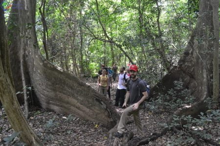 PHONG NHA ABANDONED VALLEY ONE DAY TREK