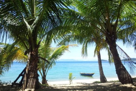 CHAM ISLAND SNORKELING TOUR